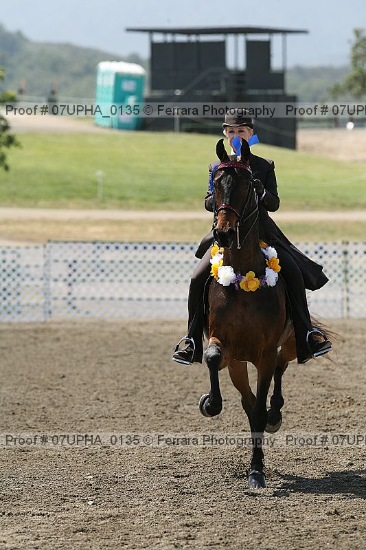 Proof Number 07upha_0135