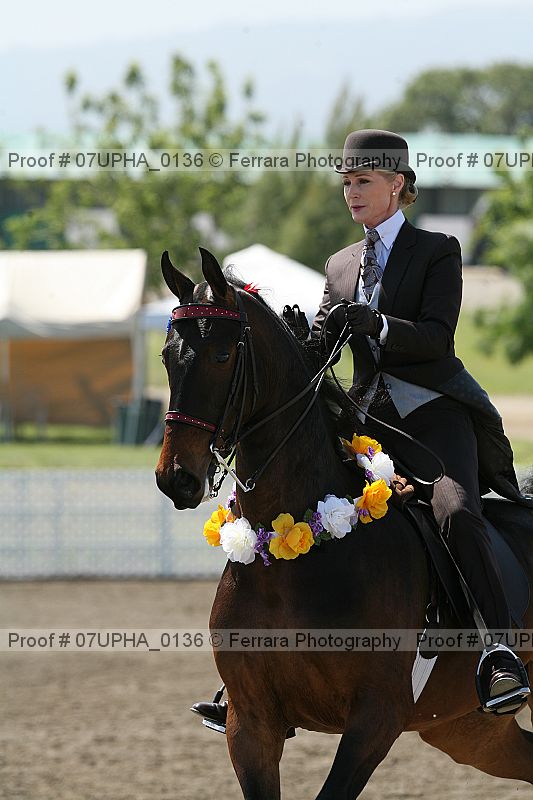 Proof Number 07upha_0136
