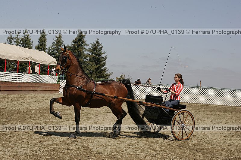 Proof Number 07upha_0139
