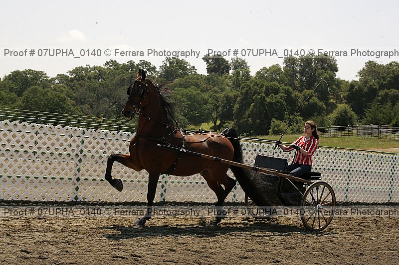 Proof Number 07upha_0140