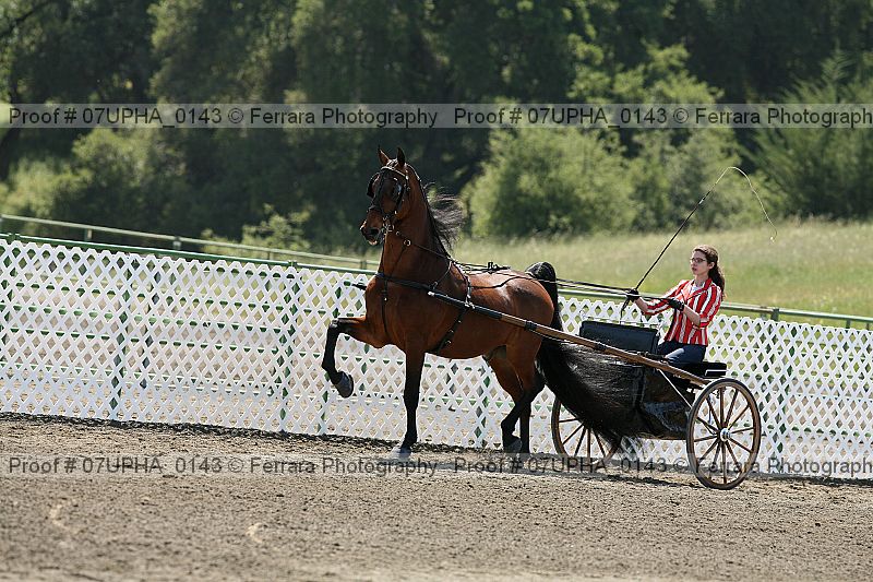 Proof Number 07upha_0143