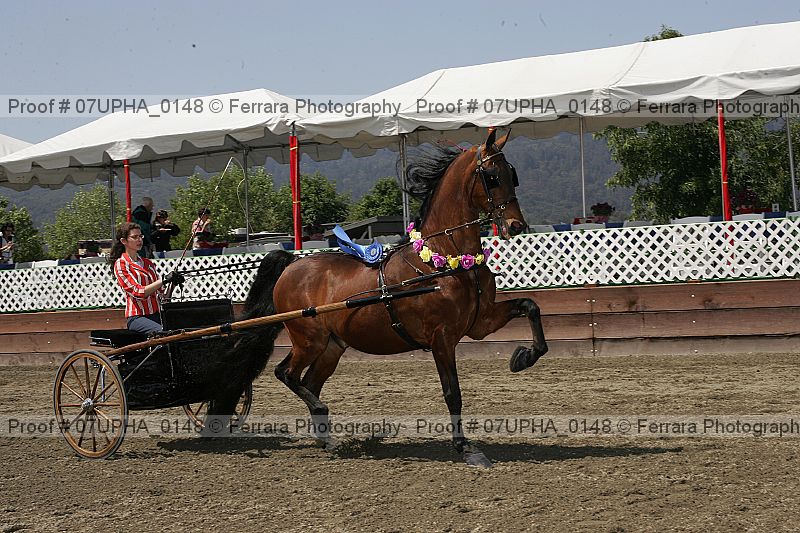 Proof Number 07upha_0148