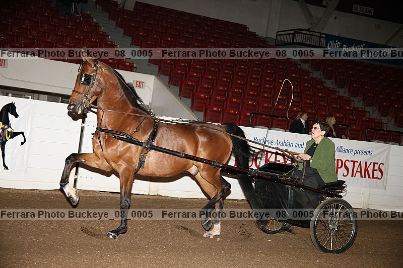 Proof Number buckeye_08_0005
