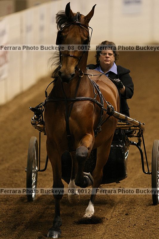 Proof Number buckeye_08_0012