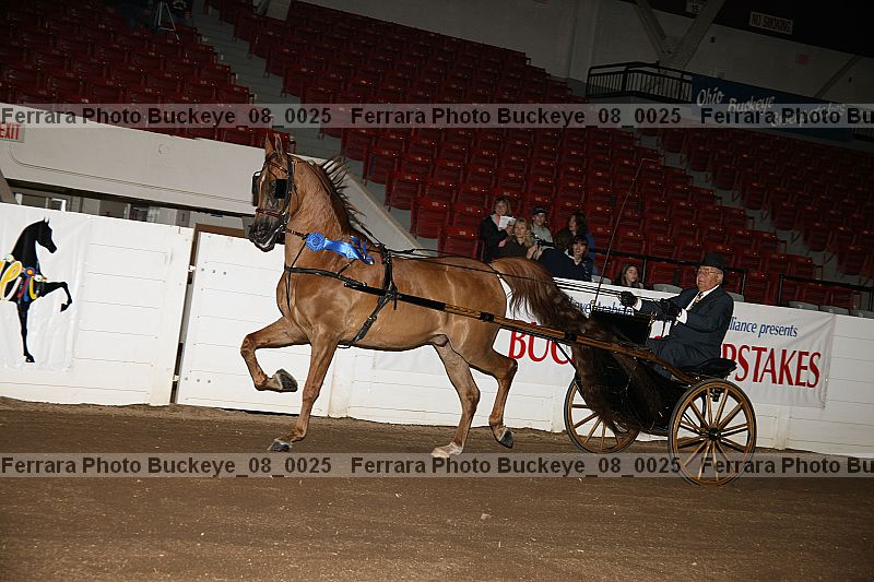 Proof Number buckeye_08_0025