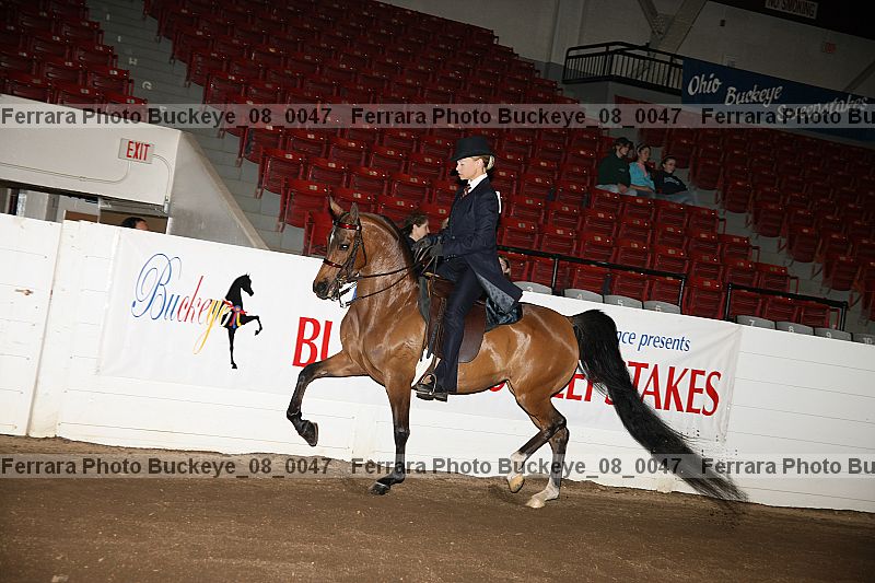 Proof Number buckeye_08_0047