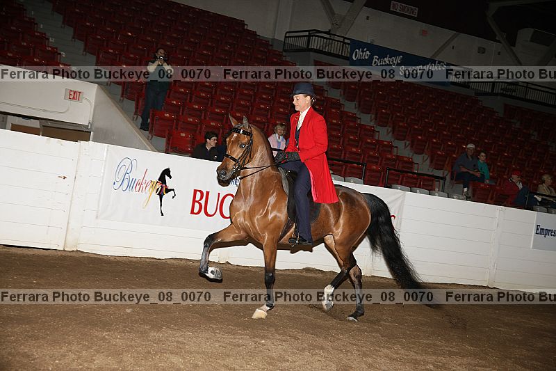 Proof Number buckeye_08_0070