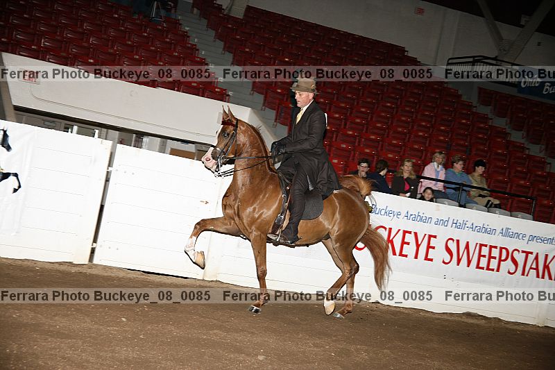 Proof Number buckeye_08_0085