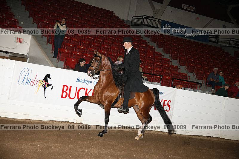 Proof Number buckeye_08_0089