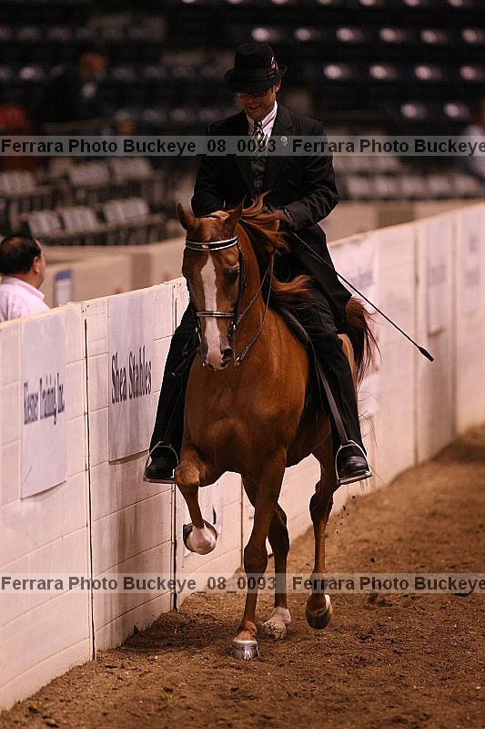 Proof Number buckeye_08_0093
