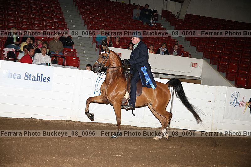 Proof Number buckeye_08_0096