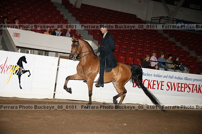 Proof Number buckeye_08_0101