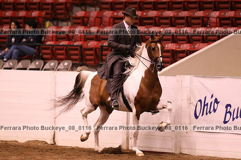 Proof Number buckeye_08_0116