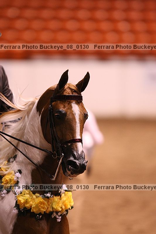 Proof Number buckeye_08_0130