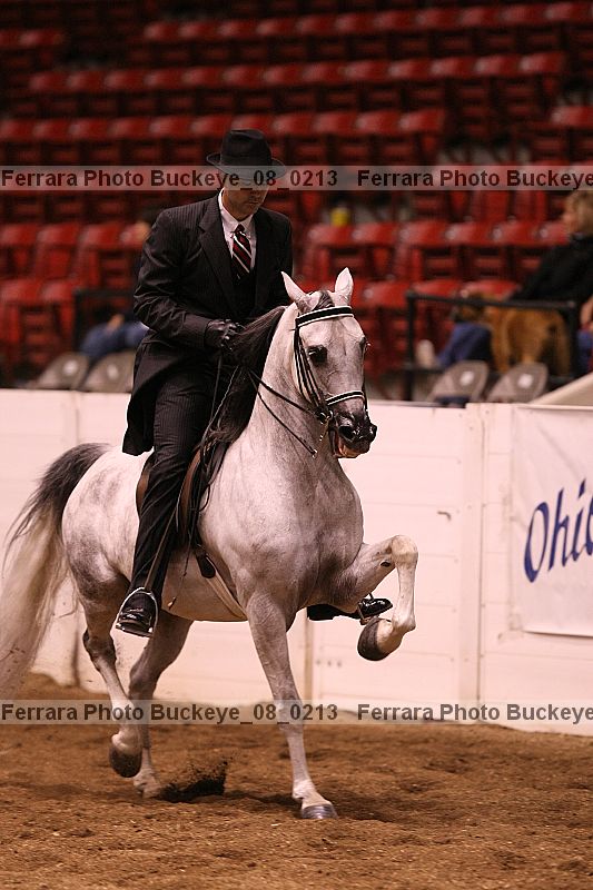 Proof Number buckeye_08_0213