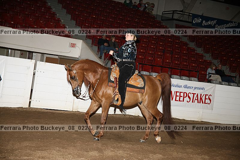 Proof Number buckeye_08_0224