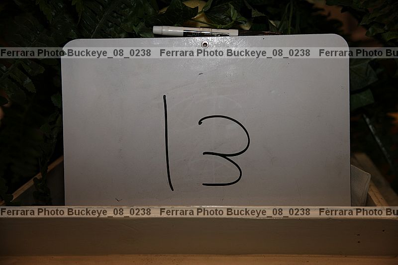 Proof Number buckeye_08_0238