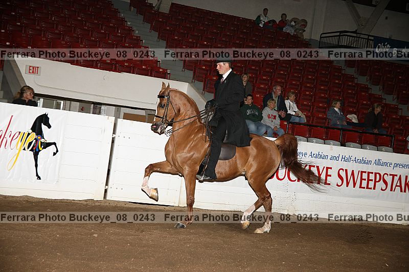 Proof Number buckeye_08_0243