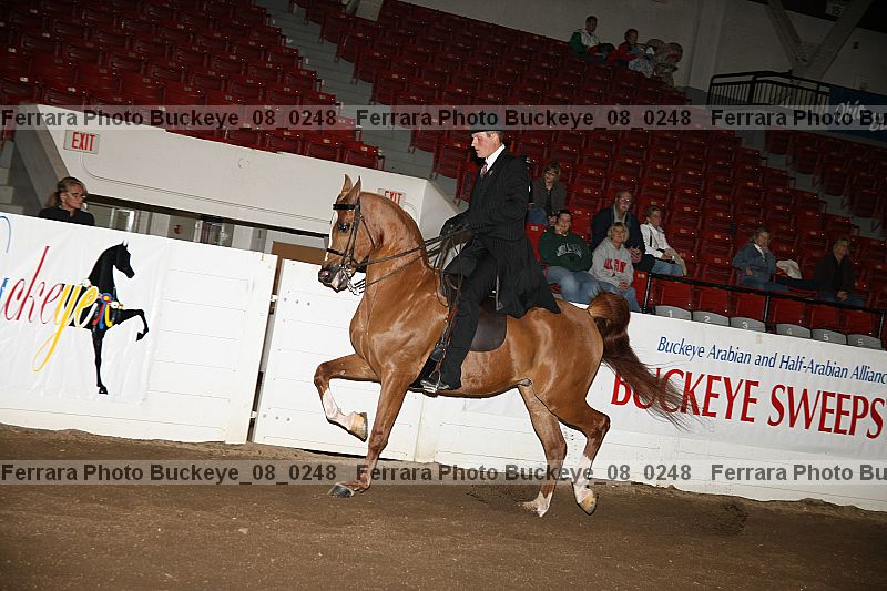 Proof Number buckeye_08_0248