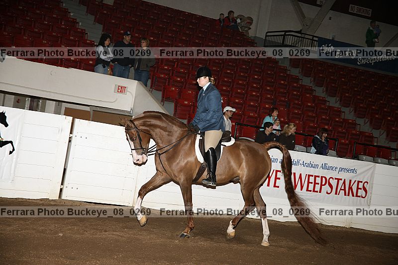 Proof Number buckeye_08_0269