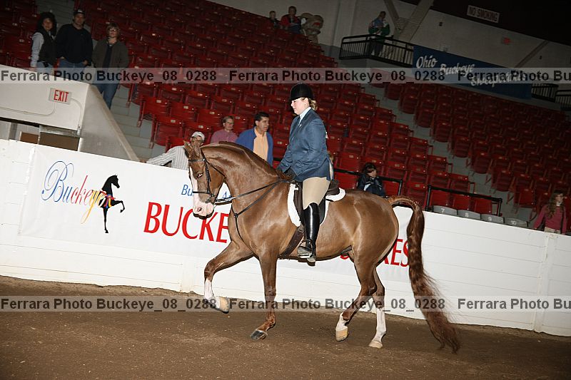 Proof Number buckeye_08_0288
