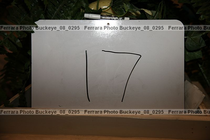 Proof Number buckeye_08_0295