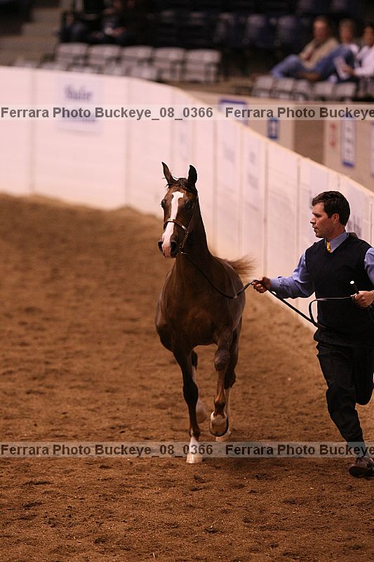 Proof Number buckeye_08_0366