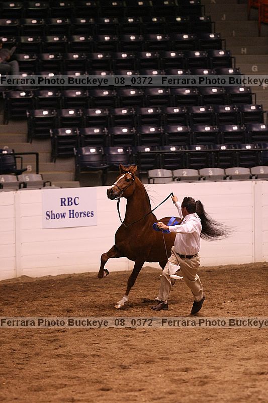 Proof Number buckeye_08_0372