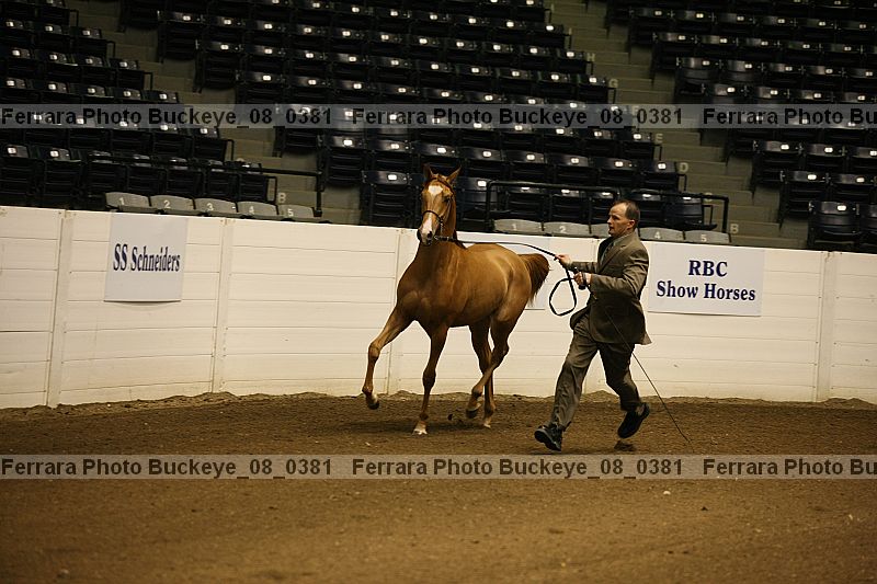 Proof Number buckeye_08_0381