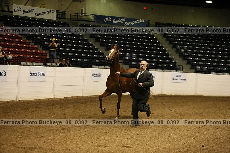 Proof Number buckeye_08_0392