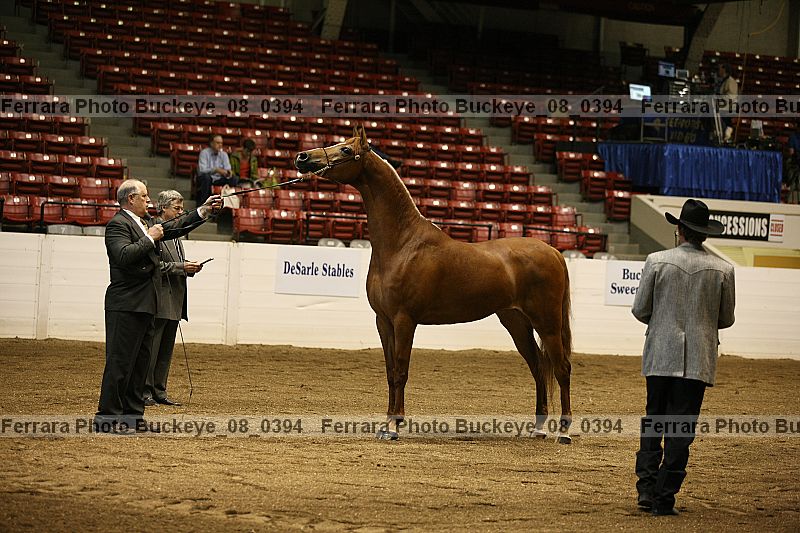 Proof Number buckeye_08_0394