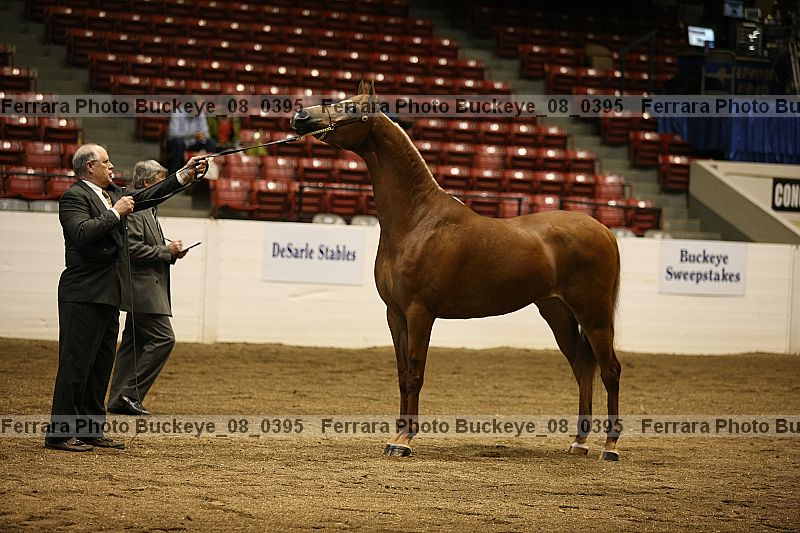 Proof Number buckeye_08_0395