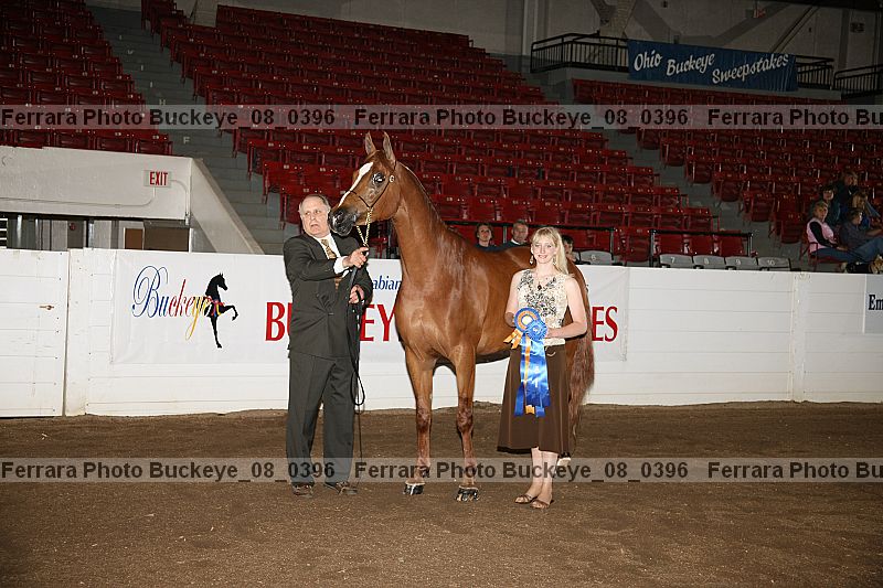 Proof Number buckeye_08_0396
