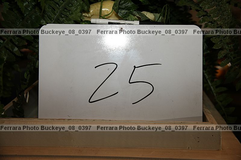 Proof Number buckeye_08_0397