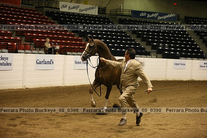 Proof Number buckeye_08_0398