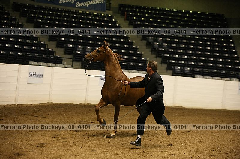 Proof Number buckeye_08_0401