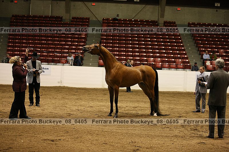 Proof Number buckeye_08_0405