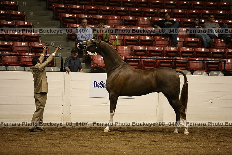 Proof Number buckeye_08_0407