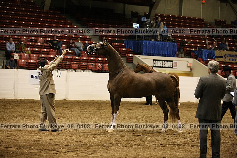 Proof Number buckeye_08_0408
