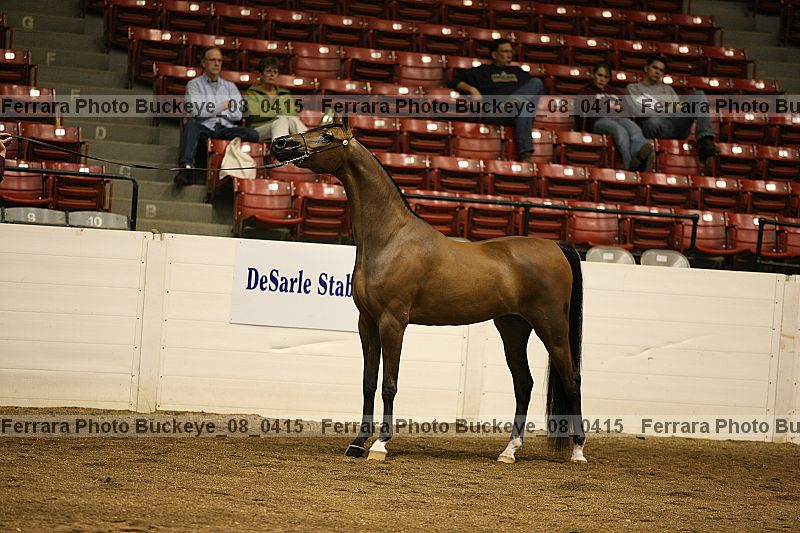 Proof Number buckeye_08_0415