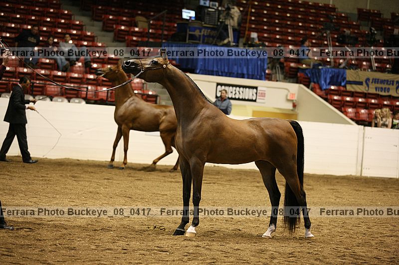 Proof Number buckeye_08_0417