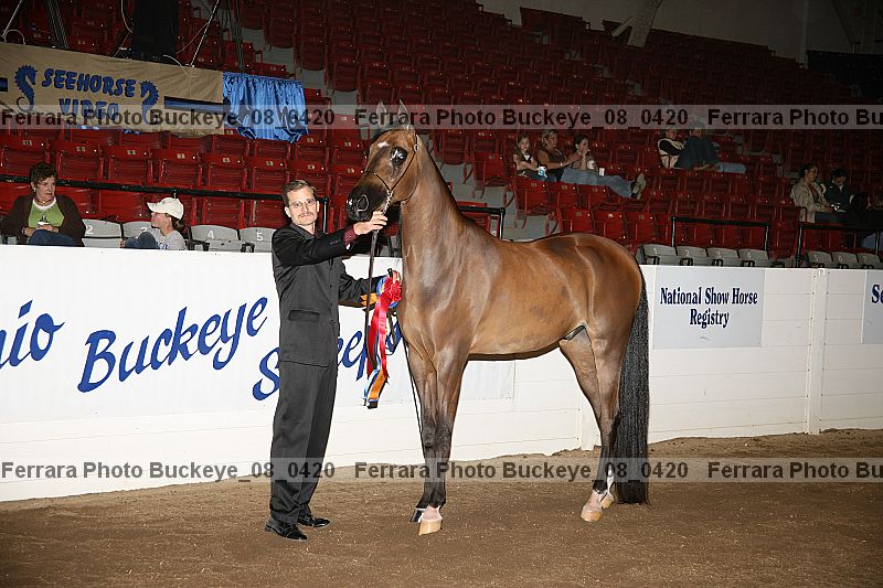 Proof Number buckeye_08_0420