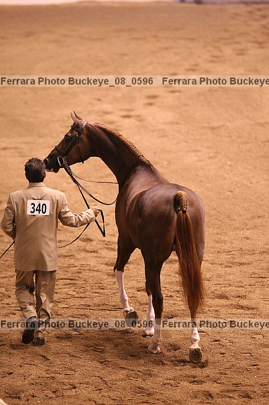 Proof Number buckeye_08_0596