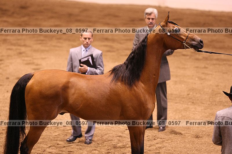 Proof Number buckeye_08_0597
