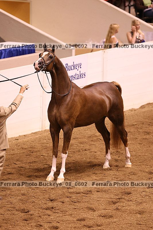 Proof Number buckeye_08_0602