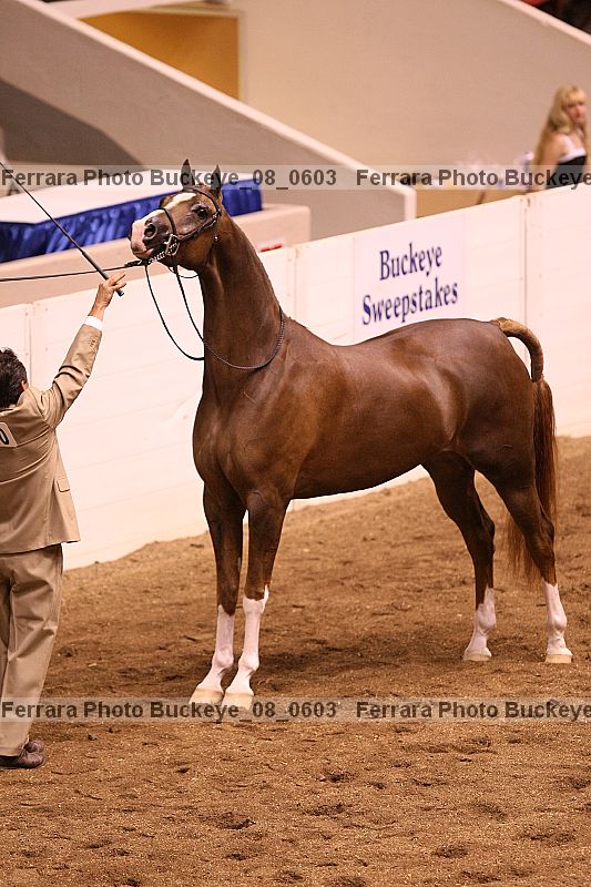 Proof Number buckeye_08_0603