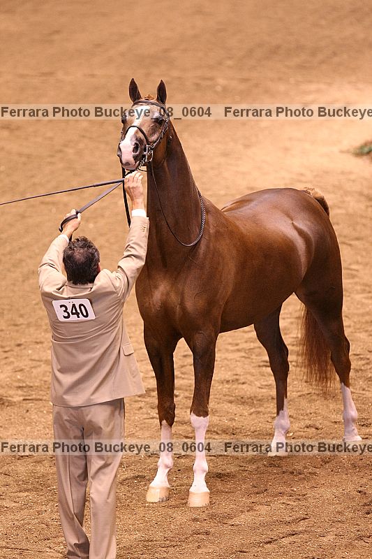 Proof Number buckeye_08_0604