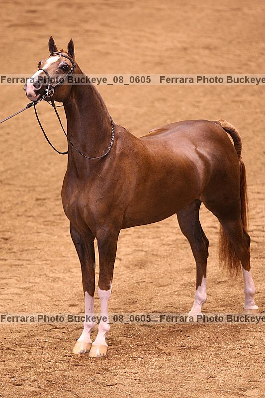 Proof Number buckeye_08_0605