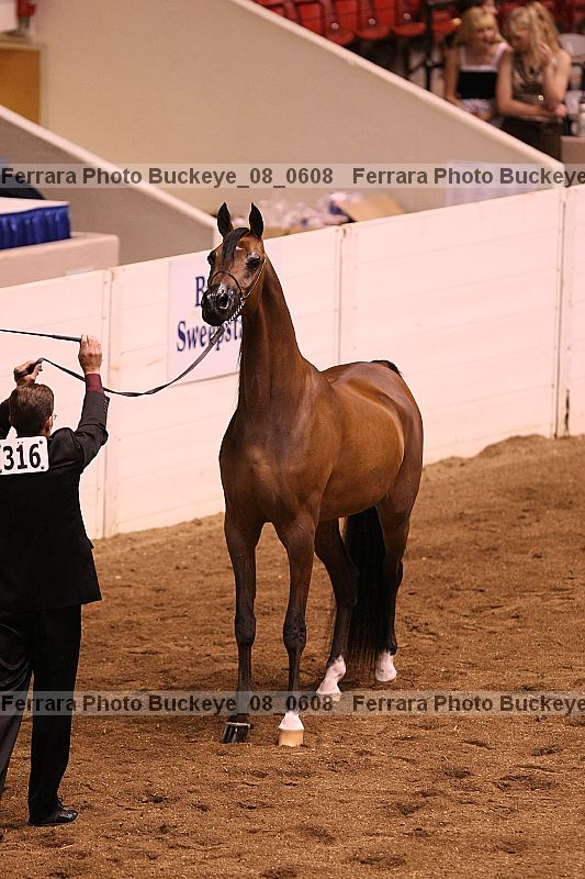 Proof Number buckeye_08_0608