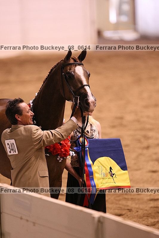 Proof Number buckeye_08_0614